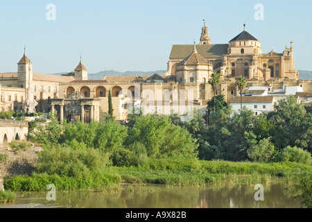 Espagne Cordoue La Mezquita La Grande Mosquée vu à travers la rivière Guadalquivir Banque D'Images