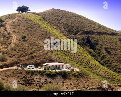 Maison de ferme avec vignoble niché dans les contreforts de la Sierra Tejada, Sedella, Axarquía, Andalousie, Espagne, Europe, Banque D'Images