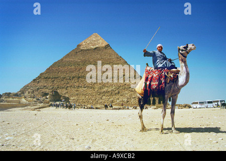 Propriétaire de chameaux en face de la pyramide de Gizeh Le Caire Kephren essayant d'pursuaid les touristes à monter sur le chameau Banque D'Images