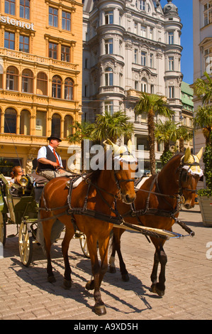 Transport de chevaux à l'Union européenne Vienne Autriche Graben Banque D'Images