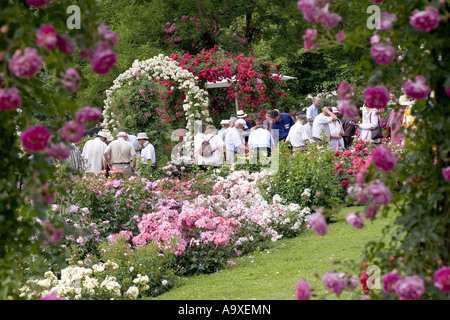 Au cours de l'évaluation du jury dans le jardin de roses, de l'Allemagne, Bade-Wurtemberg, Baden-Baden Banque D'Images