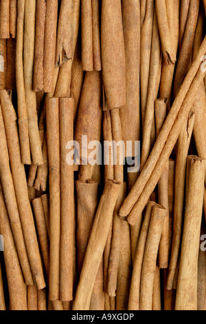 Cannelle (Cinnamomum spec.), cinnamome bars, Allemagne Banque D'Images