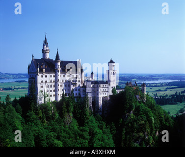 Le château de Neuschwanstein HOHENSCHWANGAU Allemagne Bavière Banque D'Images