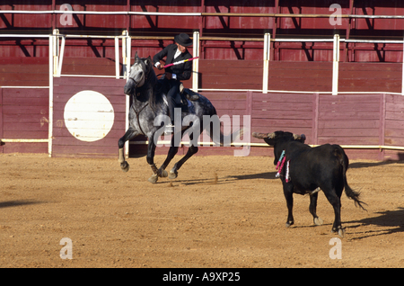 Picador corrida, prépare à spike bull blessé. Banque D'Images