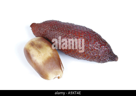 Snake palm, sala palm, salak Salacca zalacca, Salacca (edulis), fruits, origine : Java et Sumatra. Banque D'Images