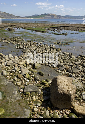 À eastnortheast sur le large rebord de Lyme Regis, dans le Dorset Banque D'Images