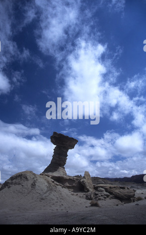 'Les champignons' / 'El Hongo' rock formation (ou) Hoodoo, le Parc Provincial Ischigualasto, Argentine Banque D'Images