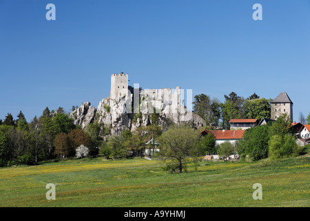 Château de Weissenstein, Regen, Basse-Bavière, Bayerischer Wald, Allemagne Banque D'Images