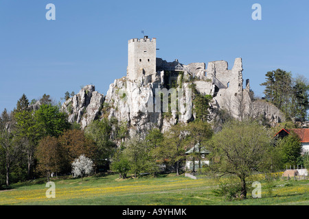 Château de Weissenstein, Regen, Basse-Bavière, Bayerischer Wald, Allemagne Banque D'Images