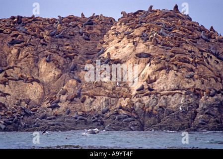 ''Seal Rock, Pacific Grove, Monterey, Californie'' Banque D'Images