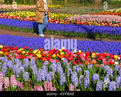Jardins de Keukenhof à Lisse, Pays Bas Banque D'Images