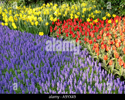 Jardins de Keukenhof à Lisse, Pays Bas Banque D'Images