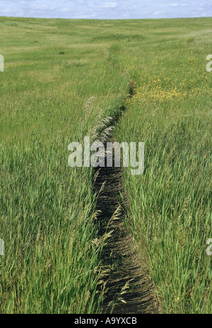 Sentier de prairie sur la route de Lewis et Clark, près de la rivière Missouri ND Mandan. Photographie Banque D'Images