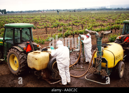 Les travailleurs de terrain fongicide mélanger avec de l'eau dans les réservoirs sur les tracteurs avant de pulvériser une vigne à raisin / Napa Valley, CA. Banque D'Images