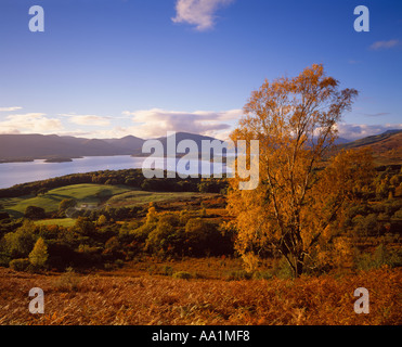 La Bonnie rives de Loch Lomond, à partir de près de Balmaha, Stirling, Scotland, UK Banque D'Images