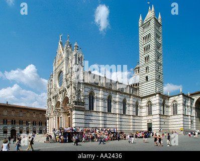 Duomo (cathédrale) et le Campanile, Piazza del Duomo, Sienne, Italie Banque D'Images