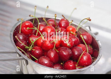 Cerises dans une passoire en acier inoxydable avec des gouttelettes d'eau du lavage Banque D'Images