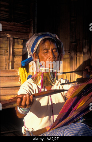 1, une femme, Karen Padaung, long cou, bagues de centrage en laiton, Padaung Karen hill tribe, hill tribe, la province de Chiang Mai, Thaïlande, Asie du Sud, Asie Banque D'Images