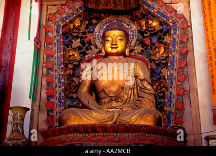 Statue de Bouddha, Bouddha, Bouddha assis, Main Hall, Temple Yuantong, Chinois, le bouddhisme, temple bouddhiste, Kunming, Province du Yunnan, Chine Banque D'Images