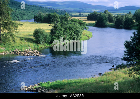 Rivière Spey près de Grantown, Carron, Aberlour, région de Grampian, Strathspey, Speyside, Ecosse, UK, paysage, voyage, Écossais Banque D'Images