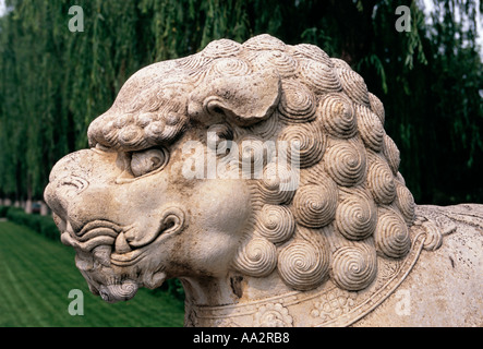 Lion en pierre, statue en pierre, de l'esprit Cours à Tombeaux Ming, District, municipalité de Beijing, China, Asia Banque D'Images