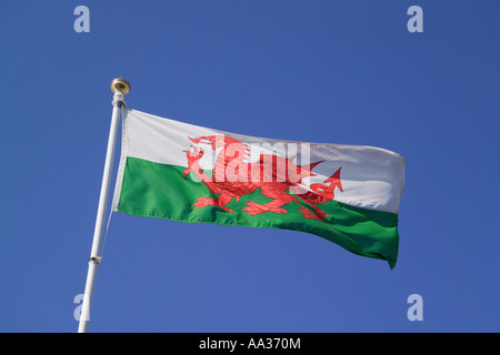 Drapeau gallois Banque D'Images