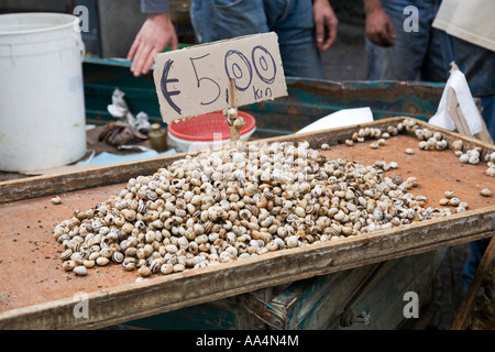 Escargots à vendre près du marché aux poissons Catane Sicile Italie Banque D'Images