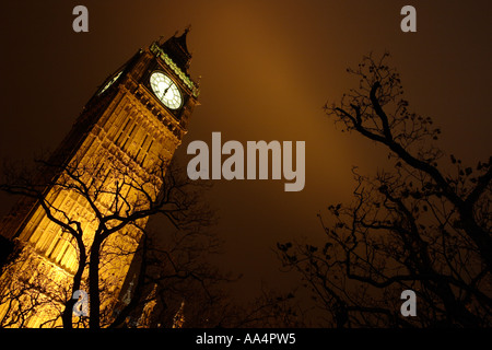 St Stephens tower Big Ben Londres Angleterre Vue de nuit à la lumière artificielle avec des arbres en premier plan Banque D'Images