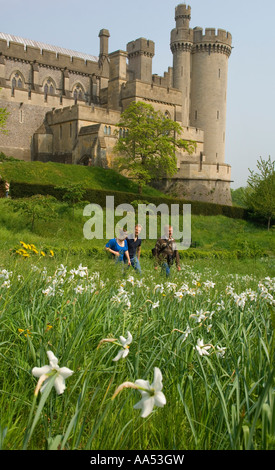 Fleurs printanières photographiées au château d'Arundel, West Sussex. Photo de Jim Holden. Banque D'Images