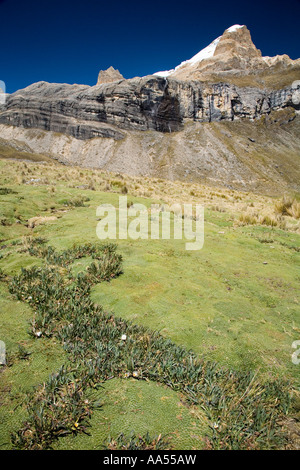 Randonnée dans la cordillère Huayhuash, Pérou Banque D'Images