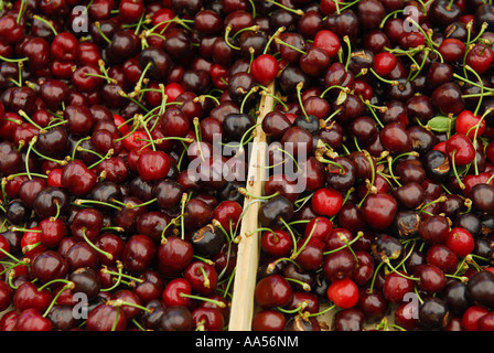 Cerises rouges frais sur l'étal du marché, Provence, France Banque D'Images