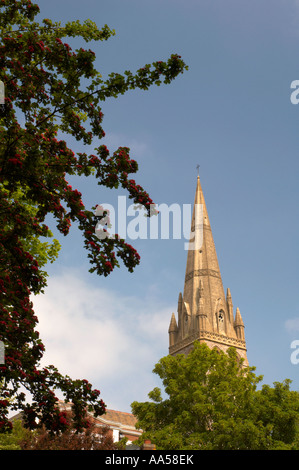 Dinham mont clocher Devon UK Banque D'Images