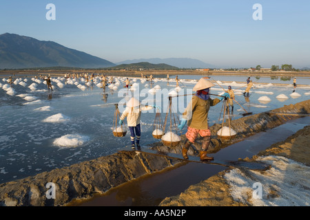 Cam Rahn, Vietnam. Mines de sel Banque D'Images