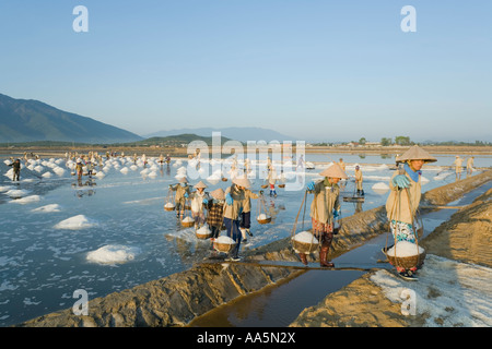 Cam Rahn, Vietnam. Mines de sel Banque D'Images