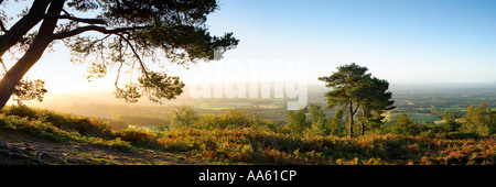 Vue panoramique à partir de 'Leith Hill' à l'aube, North Downs Surrey, Angleterre Banque D'Images