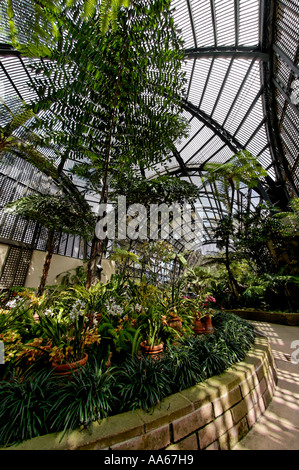 Photographie de l'intérieur du jardin botanique dans le Parc Balboa San Diego California USA Banque D'Images