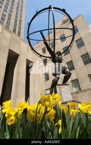 Statue d'Atlas avec des jonquilles à Rockefeller Center, avril 2006 Banque D'Images