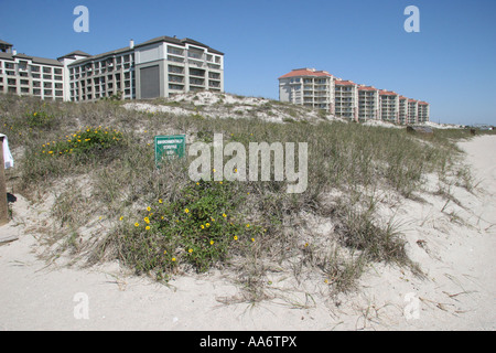 Resort Zone écologiquement sensible et restez en dehors des dunes s'identifier Amelia Island Florida USA Banque D'Images