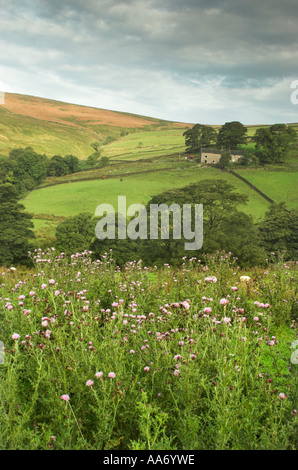 Peak District Banque D'Images