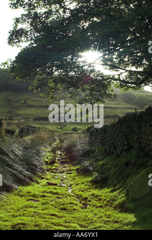 Promenade pittoresque dans le Peak District Banque D'Images