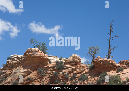 Zion Canyon de l'autoroute 9. Banque D'Images