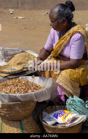 Vieille dame de vendre du poisson frais ou de Margao Sud de Goa Inde Madgaon Banque D'Images