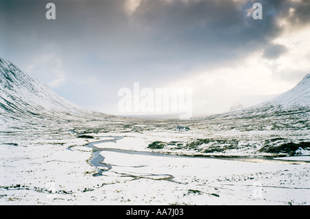 Glencoe, en Écosse. Buchaille Etive ci-dessous Cottage Blackrock Mor montagne, hautes terres de l'ouest. Vers Rannoch Moor. Hiver neige Banque D'Images