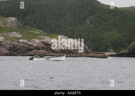 Bateau de pêche à Terre-Neuve - trois petits-fils Banque D'Images