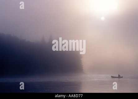 Un canot glisse à travers le brouillard et la brume d'un matin d'été sur la rivière Restigouche, dans le nord du Nouveau-Brunswick, Canada Banque D'Images