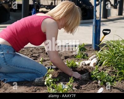 Les adolescents de l'école secondaire locale planter des fleurs dans un parc communautaire pour un projet de service Banque D'Images