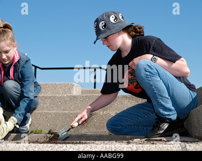 Les adolescents de l'école secondaire locale planter des fleurs dans un parc communautaire pour un projet de service Banque D'Images