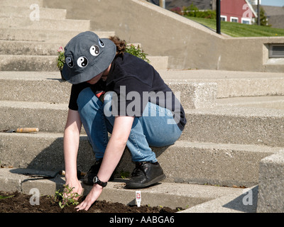 Les adolescents de l'école secondaire locale planter des fleurs dans un parc communautaire pour un projet de service Banque D'Images