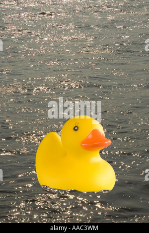 Une image composite d'un canard en caoutchouc flottant sur l'eau avec des temps forts de réflexions de la lumière du soleil Banque D'Images