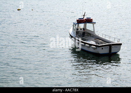 Bateau sur l'estuaire de la FAL, Fowey, Cornwall, UK. Banque D'Images